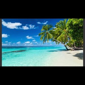 Meet your Posher, Mindy